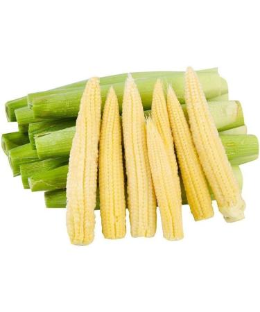 Small Corn bamboo shoots Small young corn 24g/bag hot and Spicy fresh crispy bamboo shoot crunchy tender corn vegetarian grain snack Spicy strips Latiao Chinese snack gift pack (Pickled Pepper 30bag) Pickled Pepper 30bag - Buy Online on SooperMarket.com