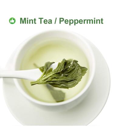 100% Organic Peppermint Tea - Health Benefits & Traditional Flavor - 30g | Global Shipping - Buy Online on SooperMarket.com