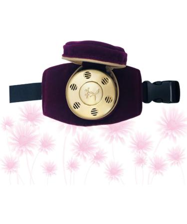 Milisten Portable Burner 1 Set Metal Bracket Metal Stand Moxibustion Box Portable Moxa Box Metal Brackets Single Box With Purple Cover - Buy Online on SooperMarket.com
