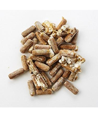 100 Shiitake 100 Mushroom Plug Spawn Edible Mycelium Plugs