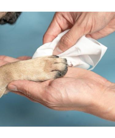 Zipy Dog Wipes - 350 Natural Deodorizing Care Cloths for Cats & Dogs | Fragrance-Free Moisture Towels for Paws Ears & Body - Buy Online on SooperMarket.com