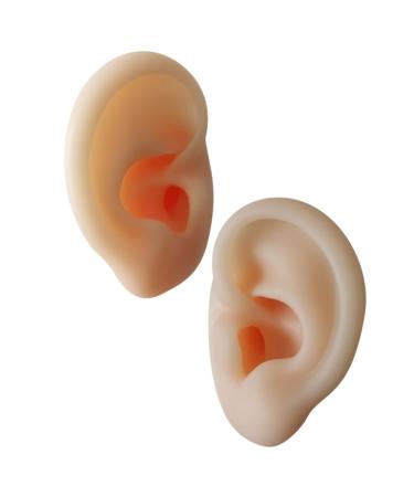 Ear Models 1 Pair Ear Picking Model Silicone Tunnels for Ears Ear Display Sample Scientific Ear Model Practice Ear Mold Silicone Ear Mold Practice Tool Visible Ear Canal