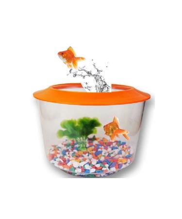 GOLDFISH STARTER SET KIT PACK TANK AQUARIUM BOWL LID GRAVEL PLANT GOLD FISH HOME