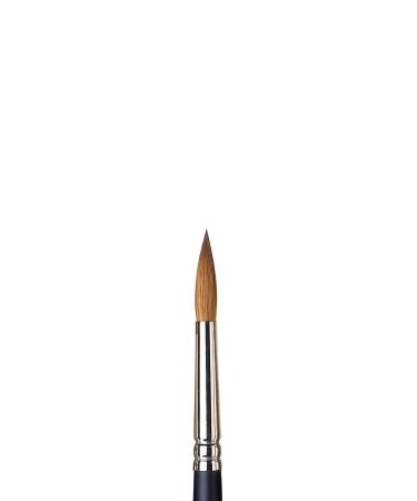 Winsor & Newton Professional Watercolor Sable Brush-Round #8, 8