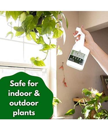 Cedarcide All-Purpose Bug Spray (Cedarwood 16 Fl Oz) - Kill, Repel & Control Mosquitos, Fleas, Ticks, Ants & Insects - Safe for People, Pets & Kids - Buy Online on SooperMarket.com