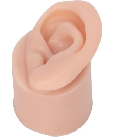 Display Ear Model Reusable Simulated Silicone Practice Ear Model Portable Elastic for Jewelry Store for Beginner(Right) - Buy Online on SooperMarket.com