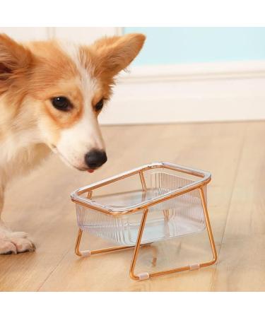 HOHXFYP Elevated Cat Bowls 15 Degree Tilt Stable Raised Cat Food Water Bowl Easily Removable Transparent Cat Bowls with Raised Bowl Bottom for Cats Dogs(S-Gold) Small Gold - Buy Online on SooperMarket.com