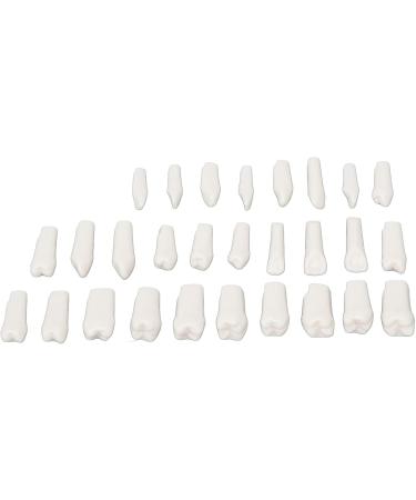 DIY Kit for Artificial Teeth - 28-Part Durable Plastic Typodont for Teaching & Study | Removable Design - Buy Online on SooperMarket.com