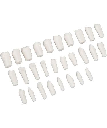 DIY Kit for Artificial Teeth - 28-Part Durable Plastic Typodont for Teaching & Study | Removable Design - Buy Online on SooperMarket.com
