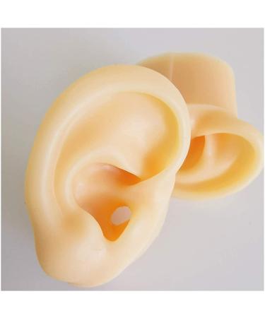 Medical Teaching Template Template Silicone Ear Template for Acupuncture - Size of Life Human Ear Model Lifeelike Artificial Ear Model