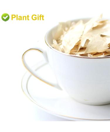 Buy Semen Oroxyli 40g - Jade Butterfly Tea (Oroxylum Indicum) | Herbal Chinese Health Tea | International Shipping - Buy Online on SooperMarket.com