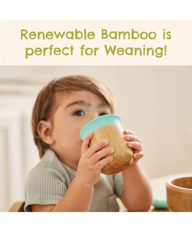 Munchkin Bamboo Open Cup 5oz - BPA Free Toddler Drinking Cup | Mint 360 Design | Weaning Cup for Babies 6 Months - Buy Online on SooperMarket.com