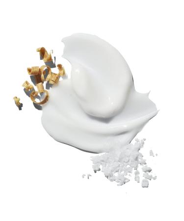 Jack Black Big Sir Body Cleanser - 3oz | Refreshing and Invigorating Body Wash - Buy Online on SooperMarket.com