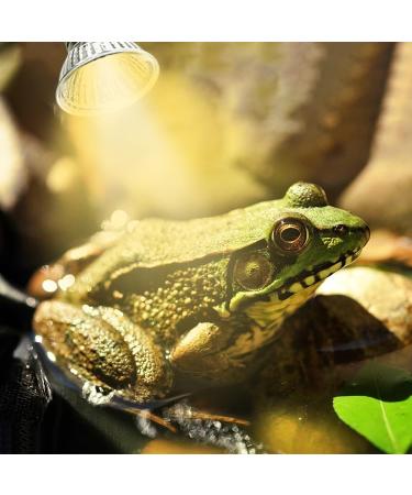 IOOTSEA Reptile Aquarium Heat Lamp 50W, Double Head UVA UVB Bulbs, Adjustable Holder for Turtle Lizard Snake - Pet Heating Light - Buy Online on SooperMarket.com