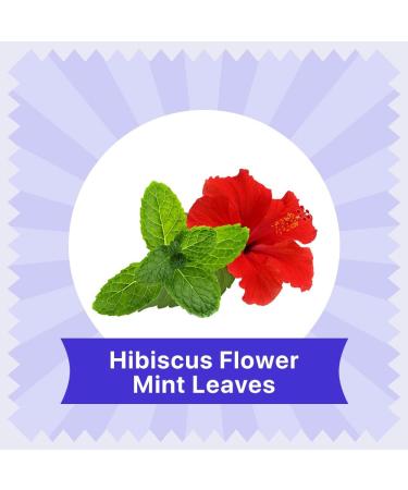 BLUE TEA - Hibiscus Mint Herbal Tea - 36 Tea Bags (Pack of 2) | CAFFEINE FREE | Hibiscus + Mint | Farm Packed Hibiscus Tea | Tin Packing - Buy Online on SooperMarket.com