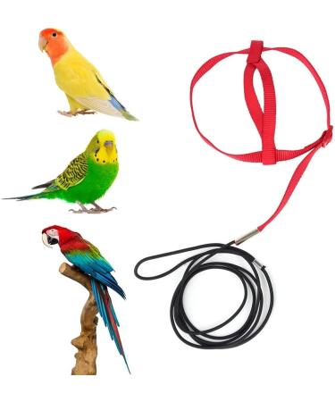 Buy Portable 8-Shape Parrot Flight Dishes - Adjustable Bird Bowls for Small & Medium Parrots | Perfect for Lovebirds & Cockatiels - International Shipping Available - Buy Online on SooperMarket.com