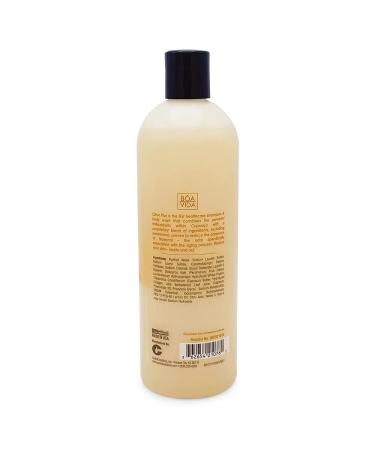 B a Vida Deodorizing Citrus + Elder Shampoo & Body Wash Soap - 16 oz - Made with Persimmon to Eliminate Nonenal & Old Person Smell Naturally - Buy Online on SooperMarket.com
