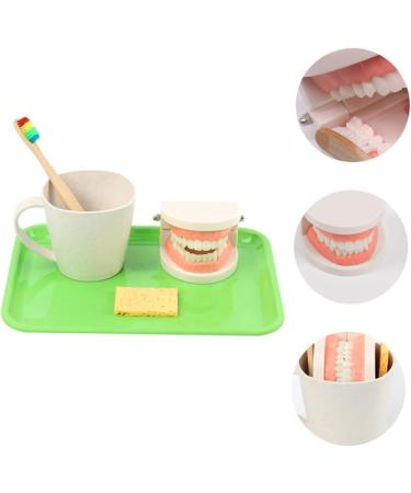 Frcolor Early Education Tooth Brushing Toy Set - Fun Children's Educational Toys for Teething & Dental Hygiene - Buy Online on SooperMarket.com