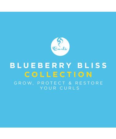 Curls Blueberry Bliss Curl Control Paste 4oz - Pack of 2 | Define & Style Your Curls - Buy Online on SooperMarket.com