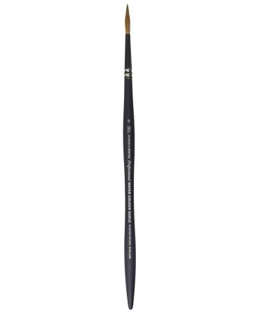 Winsor & Newton Professional Watercolor Sable Brush-Pointed Round #5, 5