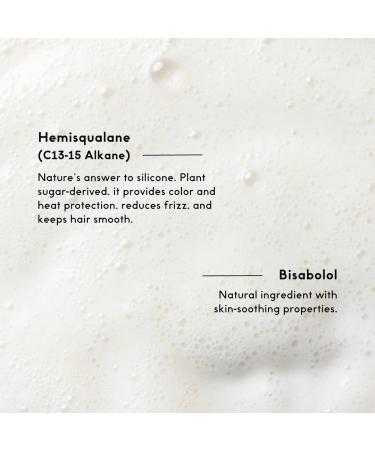 SEEN Fragrance-Free Shampoo 8.6 Fl. Oz - Non-Comedogenic & Sulfate-Free Formula for Sensitive Skin - Dermatologist-Developed for Eczema & Acne Prone Skin - Buy Online on SooperMarket.com