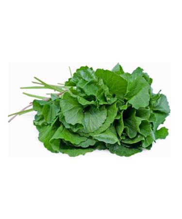 Fresh Vallarai Leaves Bunch | Single Bunch | Vallarai Keerai | Gotu Kola | Green leafy | Healthy | Used Cooking for Juice & Soup etc.. | Approx 200G
