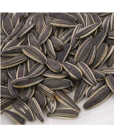 Cha Cha Sunflower Seeds (Roasted) 250g - 100% Natural Flavor - 10 Bags (8.8 oz each) - Pack of 10 - Buy Online on SooperMarket.com