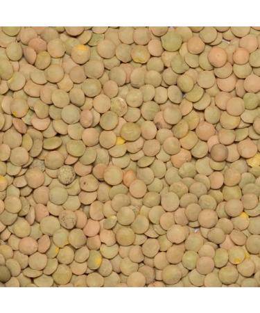 Organic Green Lentils 2kg - GMO Free, Vegan, High Fibre, High Protein - Wholefood Earth - Buy Online on SooperMarket.com