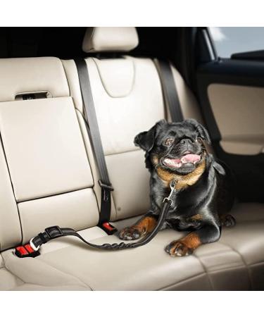2-Piece Dog Car Belt & Harness Adapter - Padded Leash Included | Universal Fit for Dog Safety in Cars - Buy Online on SooperMarket.com