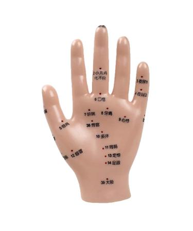 Acupuncture Hand Model Reflexology Acupoint Medical Study Kit