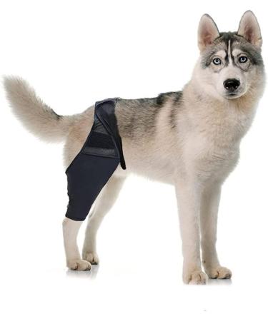 CORHAD Pet Injury Knee Puppy Brace Elbow and Knee Pads Dog Knee Cover Butter Care L As Shown - Buy Online on SooperMarket.com