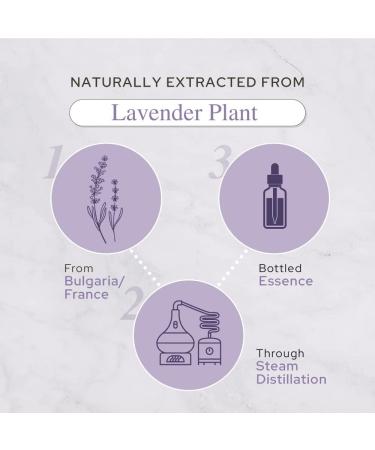 Plant of Life Essential Oil - 100% Pure and Natural - Therapeutic Grade Essential Oil with Dropper (Lavender 2 oz (60mL)) - Buy Online on SooperMarket.com