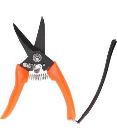 Buy High Carbon Stainless Steel Hoof Shears for Goats | Safe & Durable - International Shipping - Buy Online on SooperMarket.com