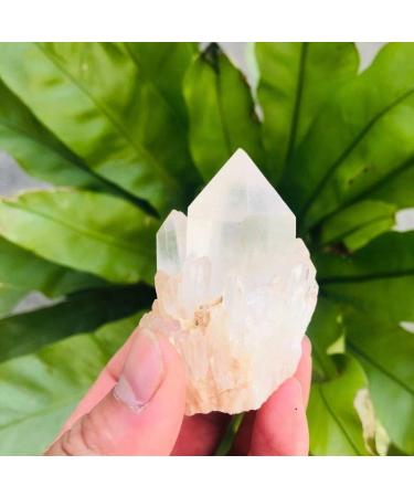 90g-180g Natural Crystal Cluster Skeleton Flower Stone 1pc HOMEZHOU (Color : 1pc 130g-150g) - Buy Online on SooperMarket.com