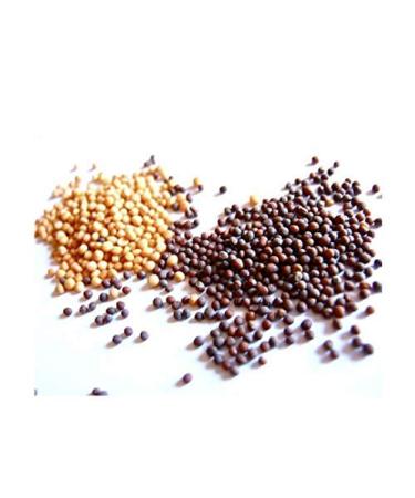 Organic Yellow & Brown Mustard Seeds 20oz Variety Pack - Kosher Certified Seasoning for Flavorful Dishes - Buy Online on SooperMarket.com