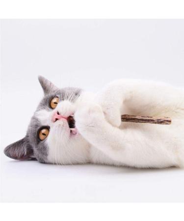 3PCS Natural Catnip Stick Cat Cleaning Teeth Molar Toothpaste Branch Cats Snacks Sticks Supplies Kitten Pet Biting Excitement Stick - Buy Online on SooperMarket.com