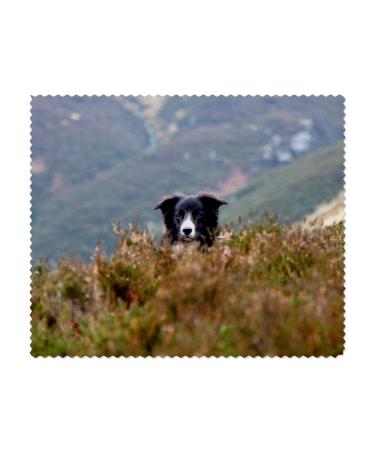 2 x 'Border Collie in the Bushes' Microfiber Lens/Glasses Cloths (LC00021732)