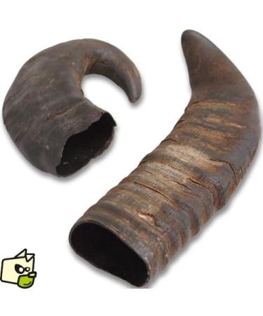 Buy TX-27742 Buffalo Chewing Horn Medium M (1 Pack) - Natural Chew for Dogs | Eco-Friendly Pet Supplies - Worldwide Shipping - Buy Online on SooperMarket.com