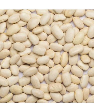 Wholefood Earth Organic Haricot Beans 1kg - Raw, Vegan, GMO Free | High Fibre & Protein | Certified Organic - Buy Online on SooperMarket.com