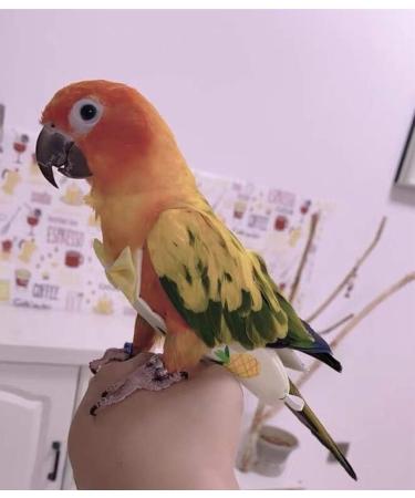 Kama Bridal Diapers for Parakeets Cockatiels & Small Birds - 2 Pack | Best for Macaws Budgerigars & Canaries - International Shipping Available! - Buy Online on SooperMarket.com