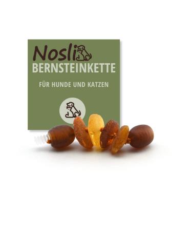 Nosli amber necklace collar for dogs and cats Dog collar Baltic amber Amber collar Extension 3cm 3 cm