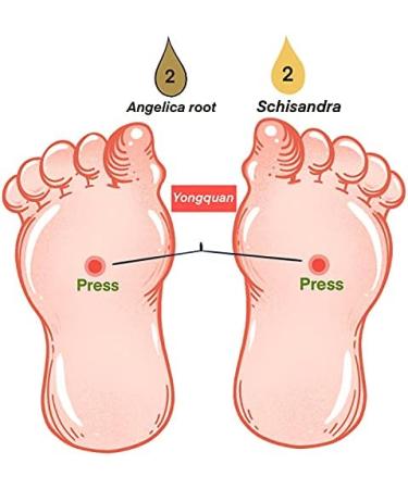 Angelica Root Essential Oil (100% Pure & Natural - Undiluted) - Perfect for Aromatherapy Relaxation Skin Therapy & More!15ml(0.49oz) - Buy Online on SooperMarket.com