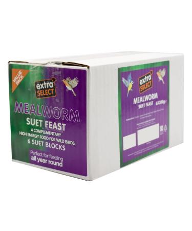Extra Select High Energy Mealworm Suet Blocks Bird 6x300gm Suet 300 g (Pack of 6)