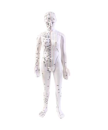 Model Anatomy Professional Medical Acupuncture 48Cm 19"