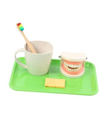 Healvian 1 set toy for early dental education Experience toys for children prosthesis model Experience toys for toddlers teaching teeth dentures ABS reusable