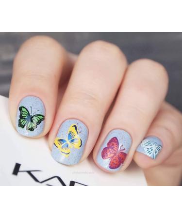 Alexnailart Butterfly Nail Stamping Plate - DIY Manicure Stencil Tools (NA001) - Buy Online on SooperMarket.com