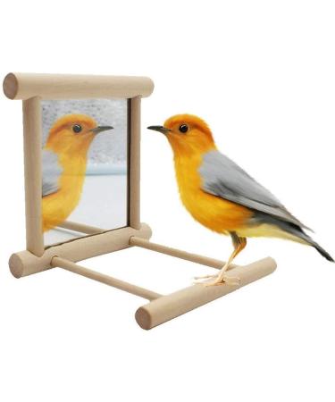 Hanging Bird Mirror Swing Toy - Interactive Play for Small Parrots & Birds - 2PCS - Buy Online on SooperMarket.com