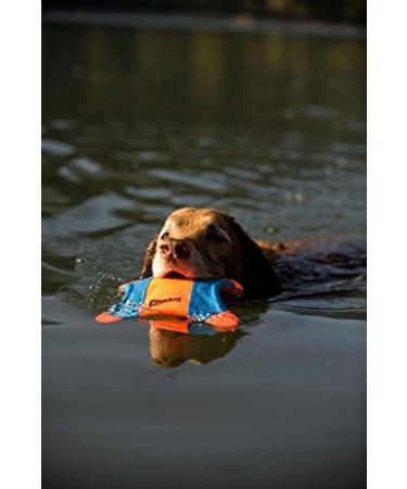 Buy Chuckit! Flying Squirrel M Double Pack - 2x1 Piece | Durable & Lightweight Dog Toys | 35 cm | Water-Resistant | International Shipping Available - Buy Online on SooperMarket.com