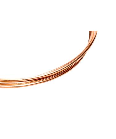 12 Gauge  99.9% Pure Copper Wire (Round) Dead Soft CDA #110 Made in USA - 5FT by CRAFT WIRE 12 Gauge 5 Feet - Buy Online on SooperMarket.com