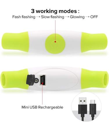 BSEEN LED Dog Collar Light - USB Rechargeable Glowing Collar for Small, Medium & Large Dogs in Green - Buy Online on SooperMarket.com